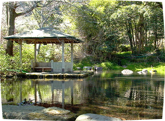 竹ケ沢公園