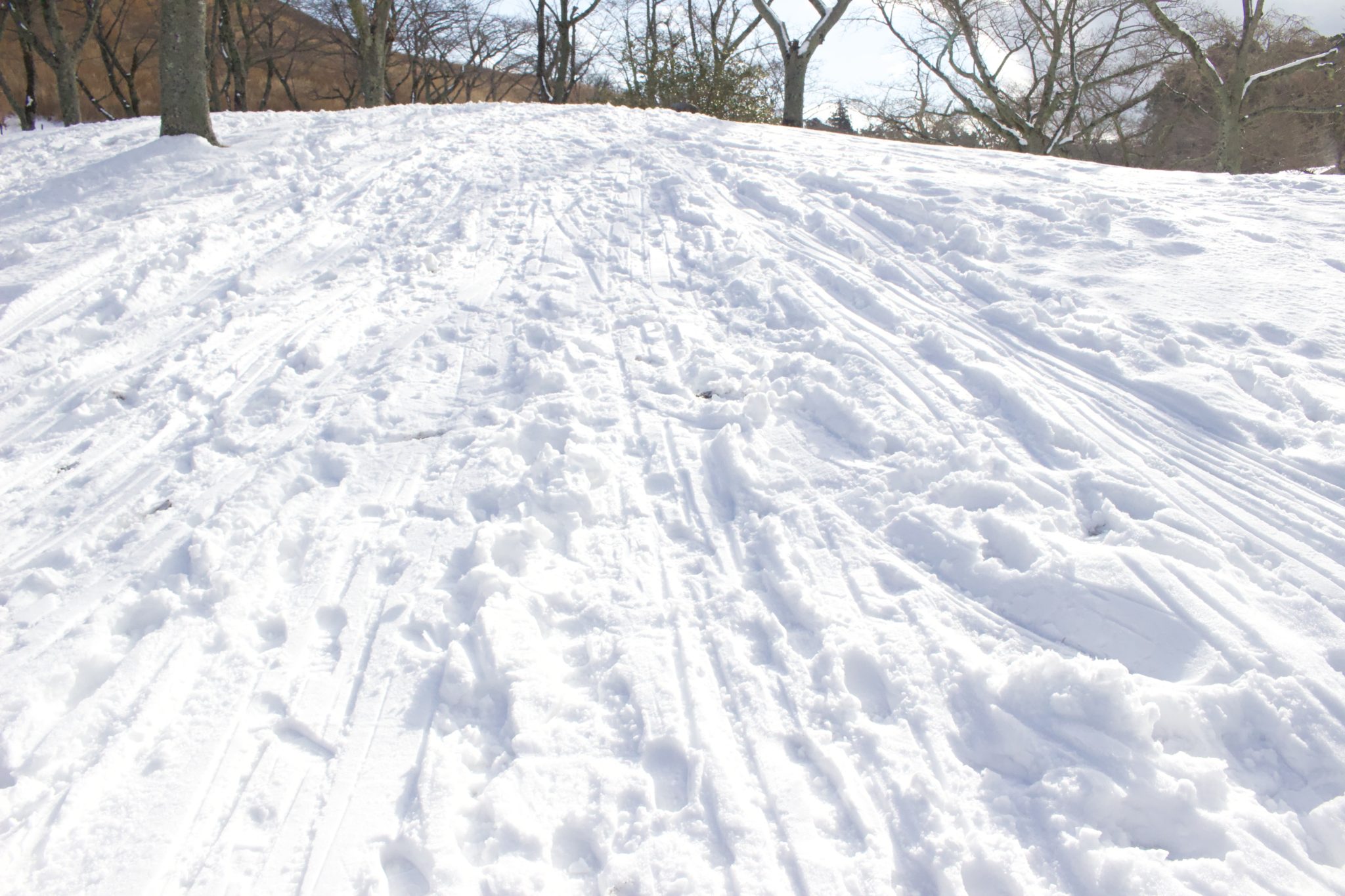 雪すべりの跡があちこちに