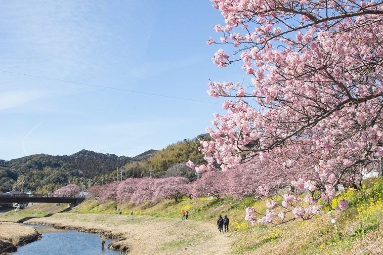 2022年2月18日　青野川沿い　道の駅湯の花裏辺り