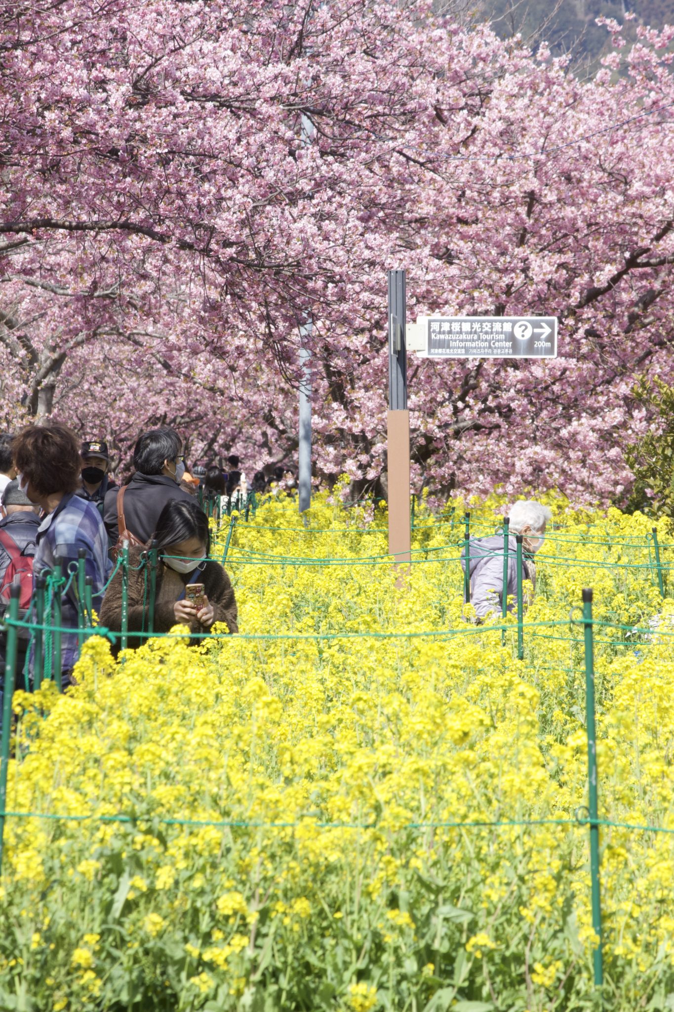 笹原公園辺り