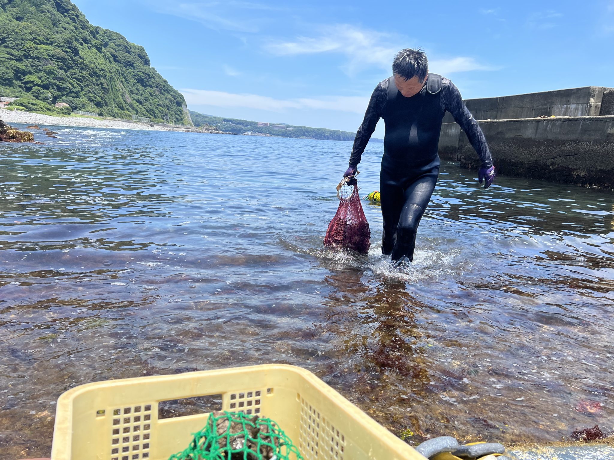 海から上げる様子