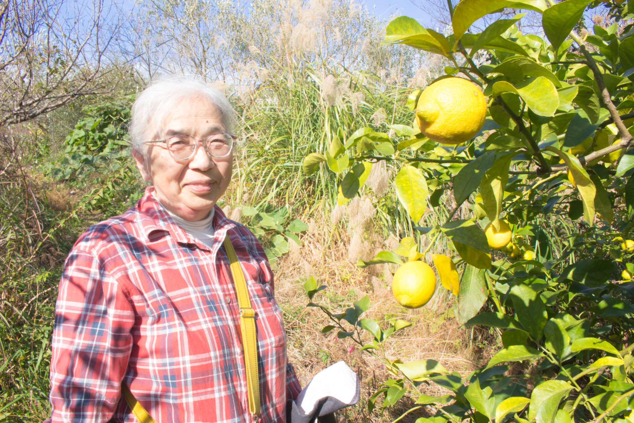 柳澤農園　農園主　柳澤祥子さん