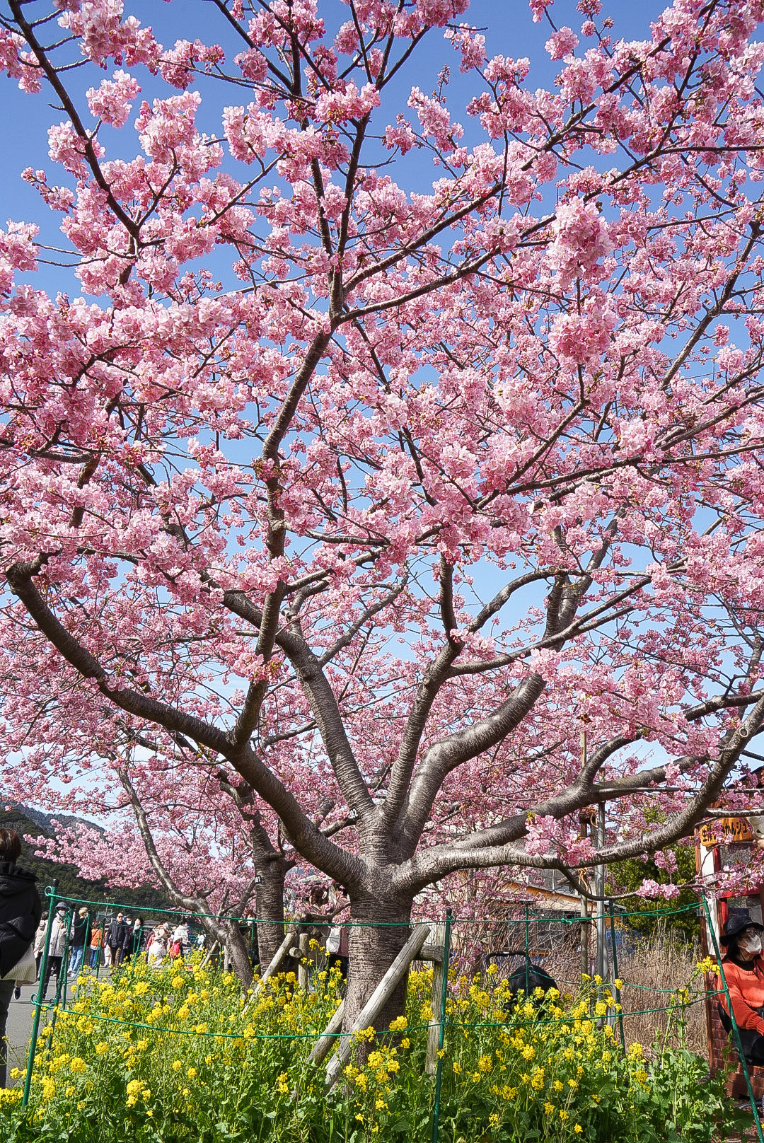 笹原公園付近