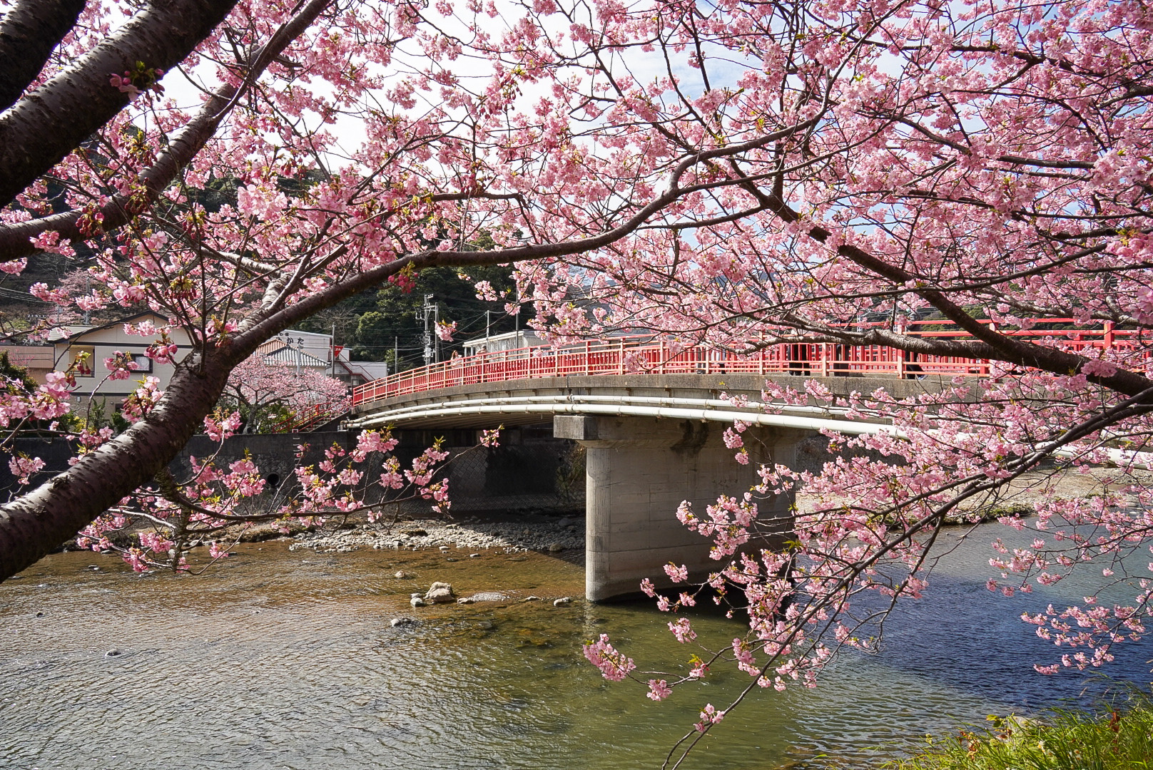 館橋