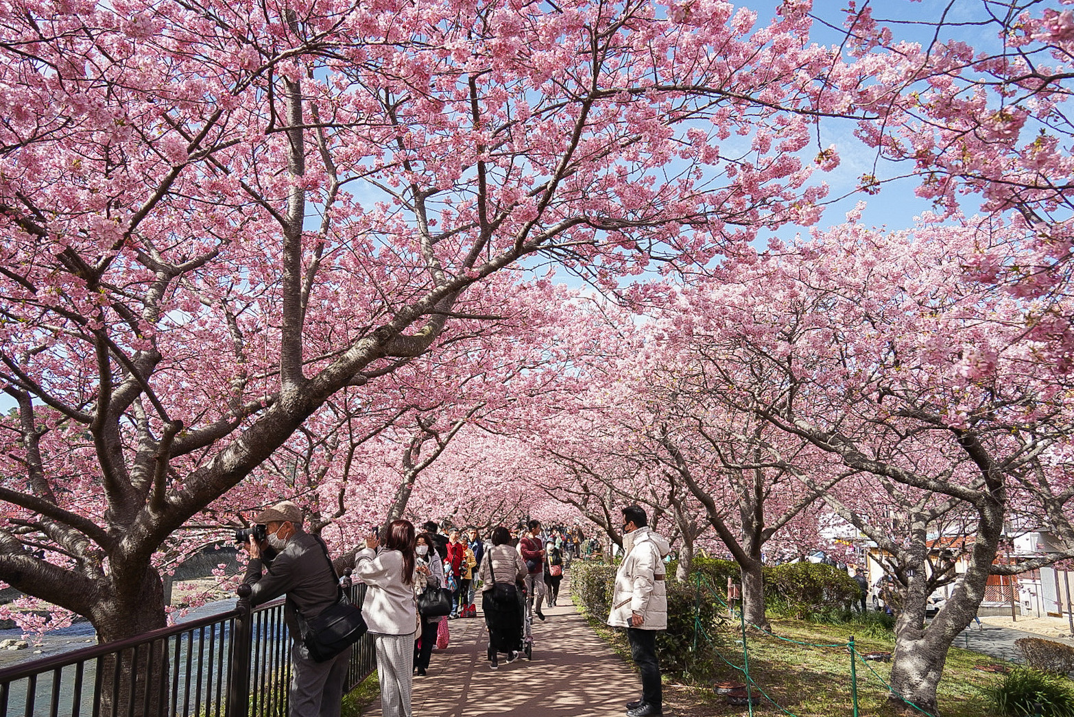 館橋付近