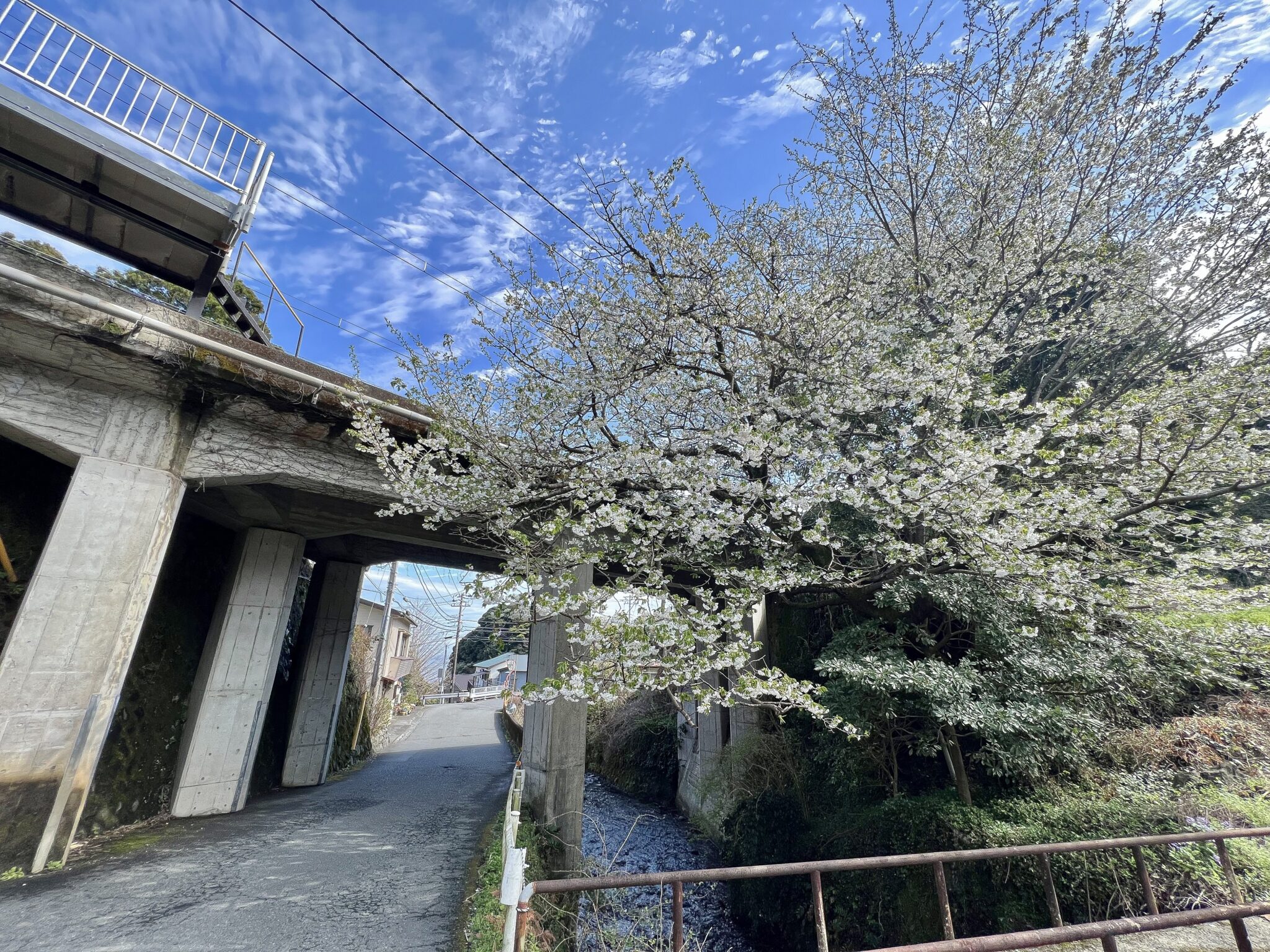 伊豆大川駅からですと、龍豊院、カクダイわさび園、引地養鶏場玉子の販売機を過ぎてすぐの高架下にございます。