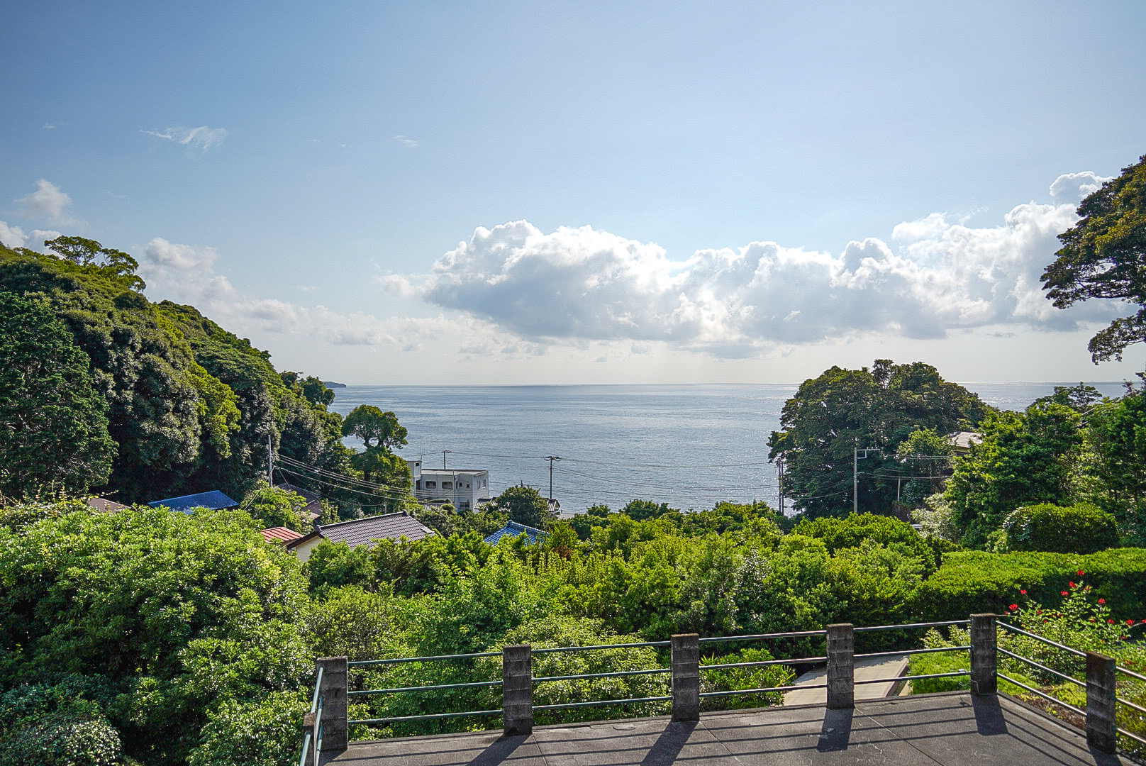 本日夏至は梅雨晴れとなりました。客室203より