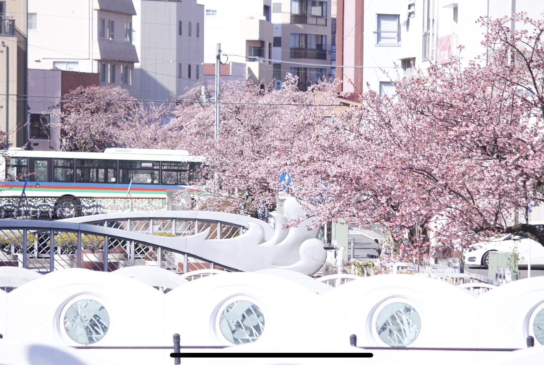 糸川遊歩道（2022/2/3撮影）