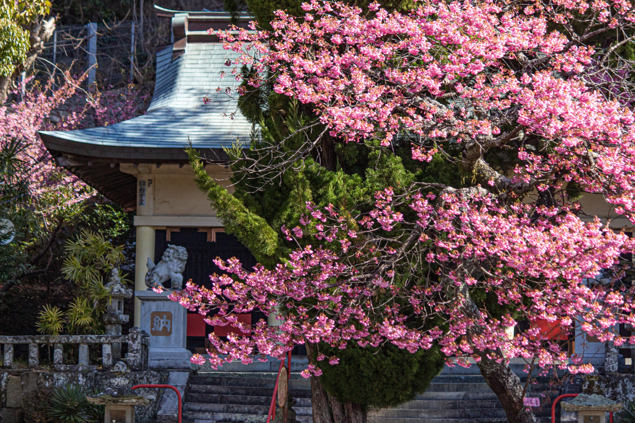 万福寺（2022/2/3撮影）