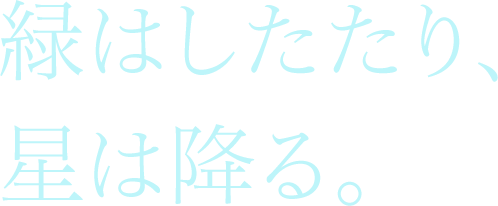 緑はしたたり、星は降る。